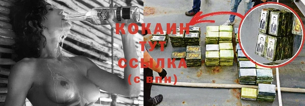 бошки Алексин