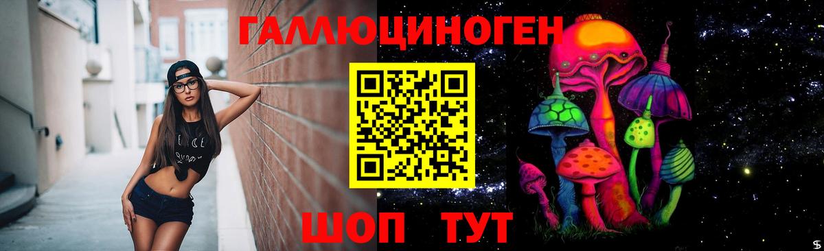 Иркутск  Галлюциногенные грибы GOLDEN TEACHER  цены наркотик  Вход с VPN 